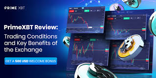 Guida Completa ai PrimeXBT Promo Codes Massimizza i Tuoi Investimenti Guida Completa ai PrimeXBT Promo Codes Massimizza i Tuoi Investimenti