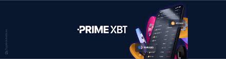 Everything You Need to Know About PrimeXBT Crypto Everything You Need to Know About PrimeXBT Crypto
