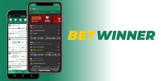 Todo lo que necesitas saber sobre la casa de apuestas